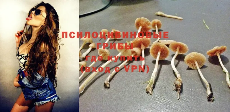 что такое наркотик  Трубчевск  Галлюциногенные грибы Cubensis 